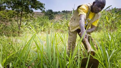 Rikolto helpt kleinschalig werkende boeren in ontwikkelingslanden.