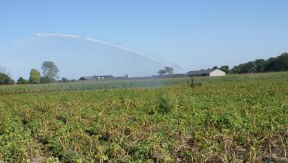 Bocholt wordt door het FAVV toegevoegd aan de beschermingszone waarin voor aardappelpercelen bepaalde wettelijke voorschriften gelden tegen bruinrot. Elke aardappelproducent in de beschermingszone moet vóór 30 april al zijn aardappelpercelen in deze zone aangeven