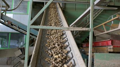 Aviko denkt met een fabriek in China beter in te kunnen spelen op de groeiende vraag naar friet in het immense Chinese land.