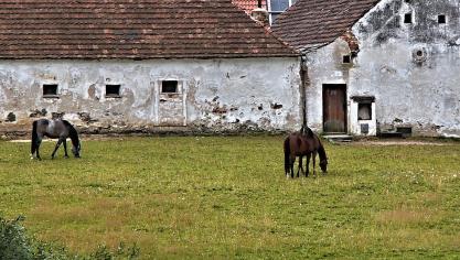 Oude hoeves worden na sloop op grote schaal omgetoverd tot woningen of zonevreemde bedrijven.