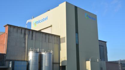 Milcobel ontsloeg vrij recent CEO Peter Koopmans omdat de melkprijs te lang laag was.