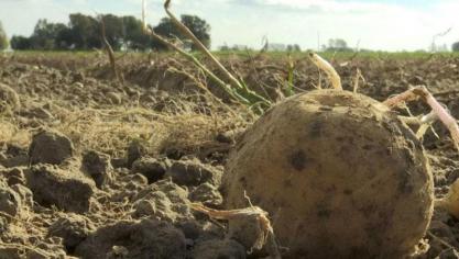 Om de zoetwatervoorziening voor de komende jaren veilig te stellen, hebben de leden van de milieucommissie op 21 januari een informeel akkoord met de Commissie gesloten over het hergebruiken van afvalwater.