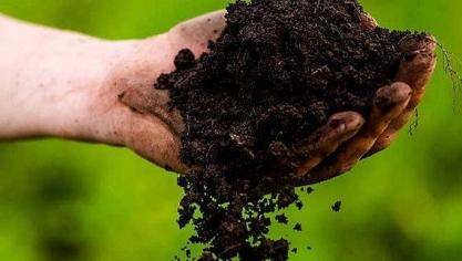 Composteren is een natuurlijk proces waarbij organisch materiaal in de bodem wordt omgezet tot humus.