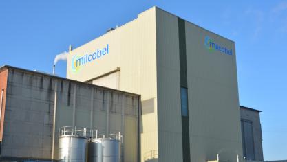 De melkprijs van Milcobel kwam in december op het Europees gemiddelde uit.