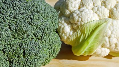 Het aantal Vlaamse bloemenkolentelers daalt verder, in Spanje is broccoli aan een opmars bezig.