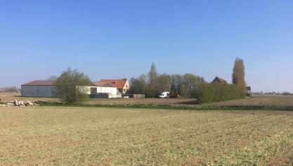 De biologische landbouw blijft wereldwijd groeien.