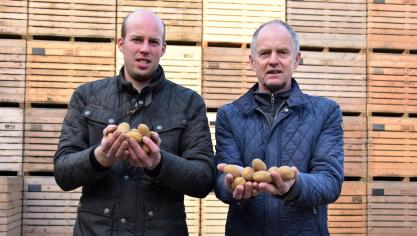 Pootgoedtelers Andreas en Dirk Ryckaert hopen dat er voldoende competentie blijft bij de keuringen van zowel gecertificeerd pootgoed als hoevepootgoed.