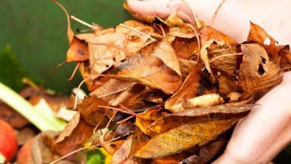 Alle natuurlijke (organische) materialen zijn composteerbaar/verteerbaar, net zoals dat gebeurt in de natuur.