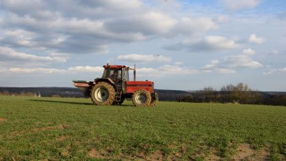 Ook dit jaar speelt de voorteelt een belangrijke rol bij de minerale stikstofvoorraad in het bodemprofiel.