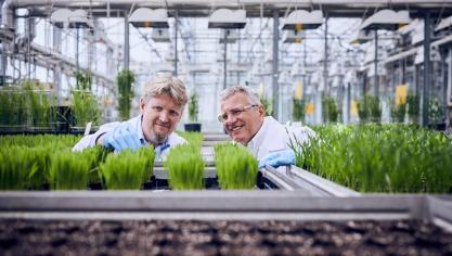 BASF investeert circa 11% van haar landbouwomzet in R&D. Op de foto een serre voor fungicide-onderzoek.