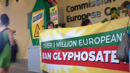 De gewesten zijn bevoegd om het gebruik te regelen. Voor de werkzame stof glyfosaat is in Vlaanderen al een verbod ingesteld: glyfosaat mag niet meer worden gebruikt door particulieren.