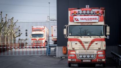 Vanlommel voert veel kalfsvlees uit naar Italië.