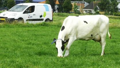De CRV-buitendienstmedewerkers blijven de veehouders ewoon ondersteunen in de dagelijkse werkzaamheden.