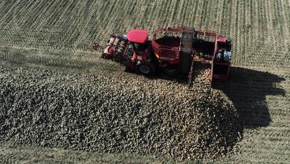 De prijzen van diverse landbouwproducten, waaronder suiker, staan onder druk.