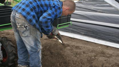 De landbouw is de afgelopen jaren steeds meer afhankelijk geworden van seizoensarbeid.