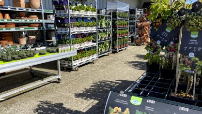 Winkels die voeding en dierenvoeding verkopen, mogen voortaan opnieuw ook bloemen en planten aanbieden met inachtneming van de maatregelen van 'social distancing'.