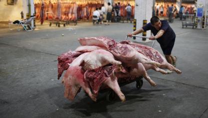 belgaimage-28266196-full