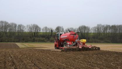 Er zijn grote verschillen in stikstofbehoefte tussen percelen met verschillende voorgeschiedenis en verschillende bodemeigenschappen. Een beredeneerde stikstofbemesting is enkel mogelijk gebaseerd op een bodemanalyse met bijhorend advies.