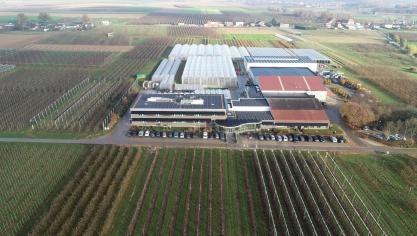 Het Proefcentrum Fruitteelt brengt vorstschade in kaart.