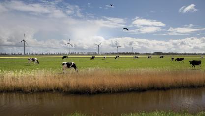 FrieslandCampina haalt melk op bij circa 300 Belgische melkveehouders.