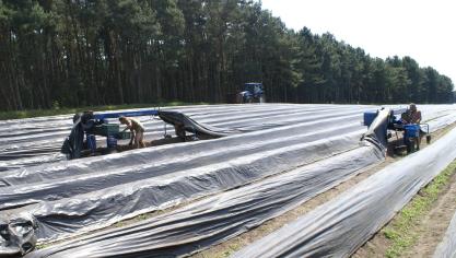 De landbouw is sterk afhankelijk van buitenlandse seizoensarbeiders.