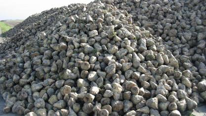 De suikermarkt wordt vooralsnog het zwaarst geraakt door de coronacrisis, die olieprijzen heeft doen kelderen.