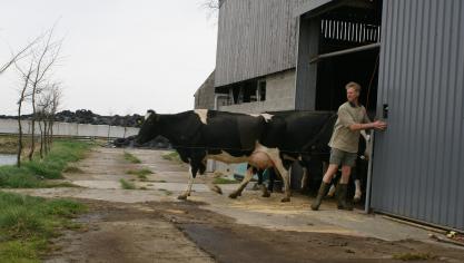 De melkmarkt is in mineur dankzij de Covid-19-pandemie.