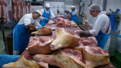 Bij de consumenten en de vleesindustrie is er bezorgdheid over het voorkomen van minder mals en sappig vlees dat moeilijker te verwerken is tot kookham.