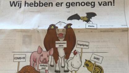 gaia campagne