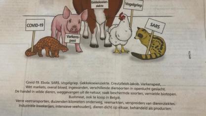 gaia campagne