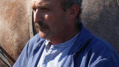Trekpaardenliefhebber Walter Oorts uit Pulderbos.