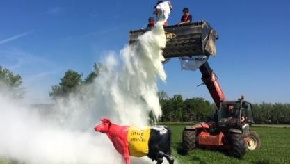 De melkveehouders zoeken steun op Europees niveau en voerden donderdag actie door melkpoeder uit te strooien.