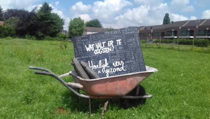 Deze zomer stimuleert de Provincie immers tal van acties onder de noemer ‘Lokaal is het nieuwe normaal’.