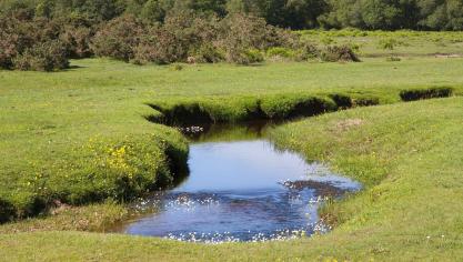 Met deze waterstudie en waterbalans is Limburg de eerste provincie die investeert in een bruikbare tool om onderbouwde en regiospecifieke maatregelen af te kondigen in periodes van droogte.