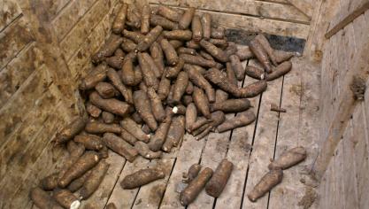 Als je witloofwortels teelt, dan is het afhankelijk van de bestemming van de wortels of je onder de plantengezondheidswet valt of niet.