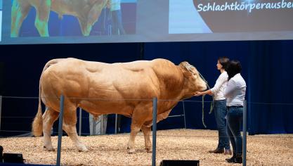 EuroTier is een grote internationale beurs in Hannover voor de intensieve veeteelt.