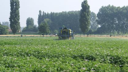 Om te kunnen genieten van het gunstregime, moet een eenmanszaak een of meerdere landbouwactiviteiten onafgebroken uitvoeren.