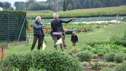 Ngo’s roepen op tot meer kleinschalige landbouw.