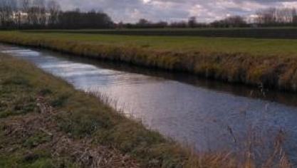 Daarom werd een tussentijdse evaluatie ingeschreven in het Mestdecreet. Die evaluatie is nu afgerond. De conclusie daarvan is dat de waterkwaliteit doorgaans niet is verbeterd en soms zelfs is afgenomen ten opzichte van de uitgangssituatie van MAP 6.
