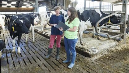 In die zogenaamde “Focus Farms” zullen een achttal melkveehouders onderling ervaringen uitwisselen over de arbeid op hun bedrijf.