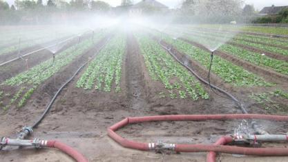 In het demoproject ‘ Beredeneerd beregenen van openluchtgroenten en aardappelen ’  werd een beregeningstool ontwikkeld die wordt aangestuurd door bodemsensoren.