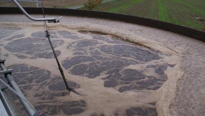 VCM zal de impact en de gevolgen van deze aanpassingen nog verder inventariseren, maar roept alle biologische mestverwerkingsinstallaties op om rekening te houden met een mogelijk opslagtekort voor effluent in het najaar.