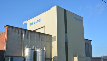 Milcobel is de grootste melkerij van ons land.
