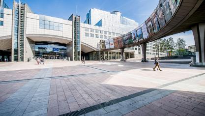 Het Europees Parlement wil dat het nieuwe GLB zo snel mogelijk wordt afgekaart.
