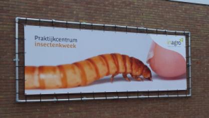 Inagro trekt reeds meerdere jaren de kaart van het onderzoek naar professionele insectenkweek. Vandaag kan je het centrum enkel virtueel bezoeken.