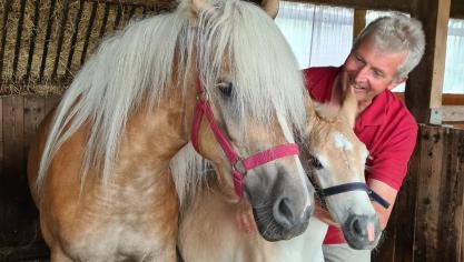 Johan Rutsaert uit Aalter met haflingermerrie en hengstveulen.