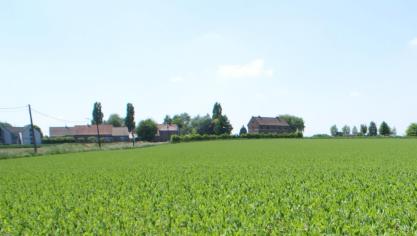 Het Verenigd Koninkrijk importeert ongeveer de helft van de groenten die het consumeert.