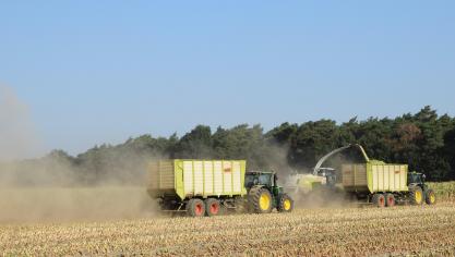 In Noord-Limburg is op sommige plaatsen het hakselen al begonnen.