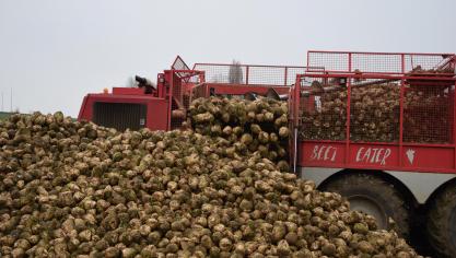 British Sugar is één van de grootste bietenverwerkers in Europa.