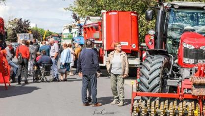 agromarktgistel